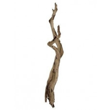 vente de branche décorative - bois flotté - 120 cm