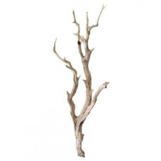 vente de branche décorative - bois flotté - 120 cm