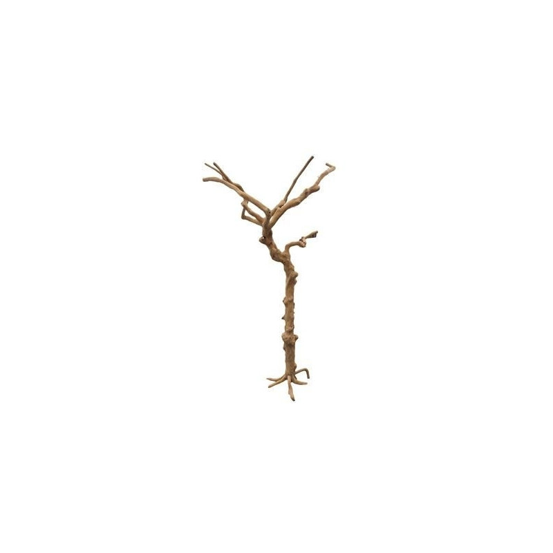 Tronc de Bois & Branches