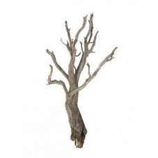 vente de branche décorative - bois flotté 90 cm