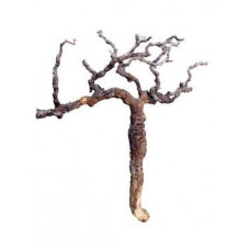 Branches décoratives - bois...