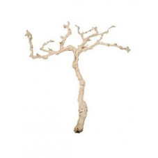 Branche décorative - bois...