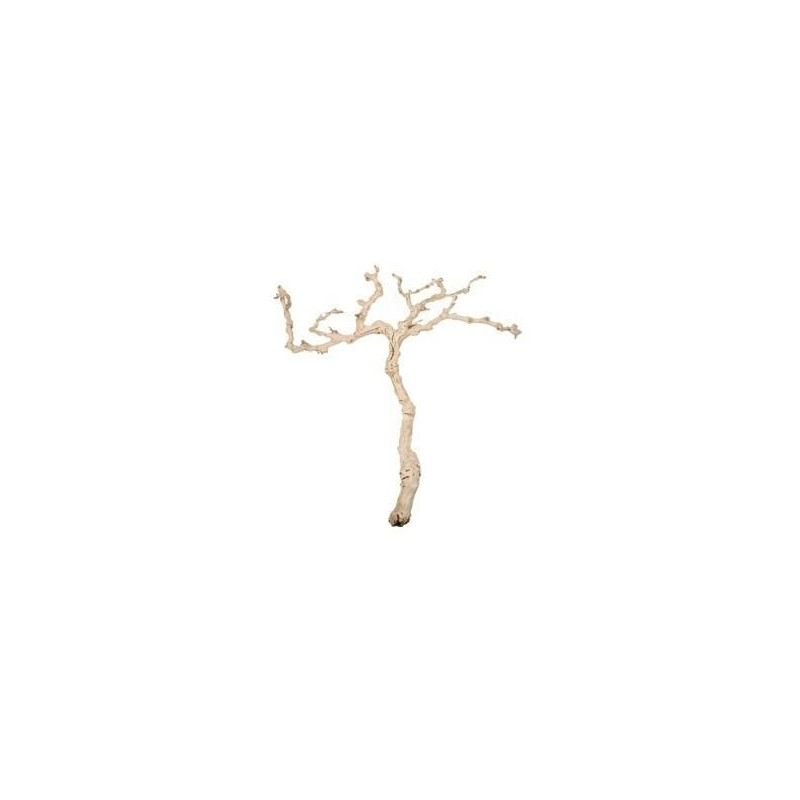 vente de branche décorative - bois flotté - 120 cm