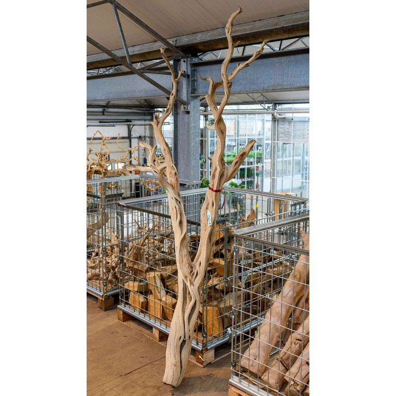 vente de branche décorative - bois flotté - 125 cm