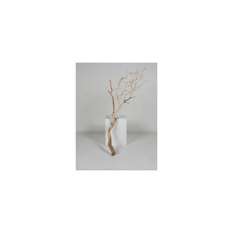 vente de branche décorative - bois flotté - 120 cm