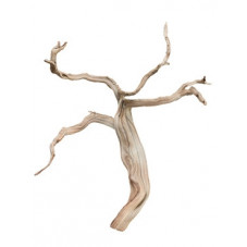 bois flotté ghostwood 40 cm