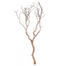 branche bois flotté - 240 cm