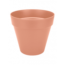 pot rose grosse taille pour...