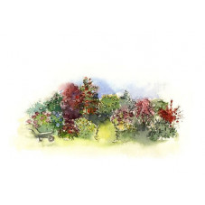 Pack vegetal  " caroline "