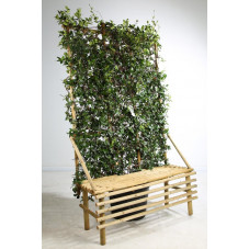 jasmin étoilé - banc + espalier 200 cm