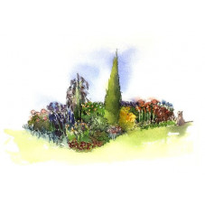 Pack végétal " campagne "