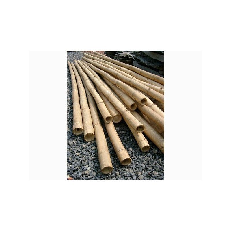 Cannes de bambou deco 4 m diam. 4cm Cannes de bambou deco 4 m diam. 4cm