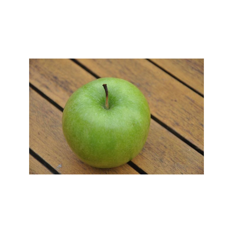 Pommier "granny smith"