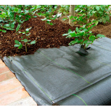 bâche de plantation noire 2 m x 10 m