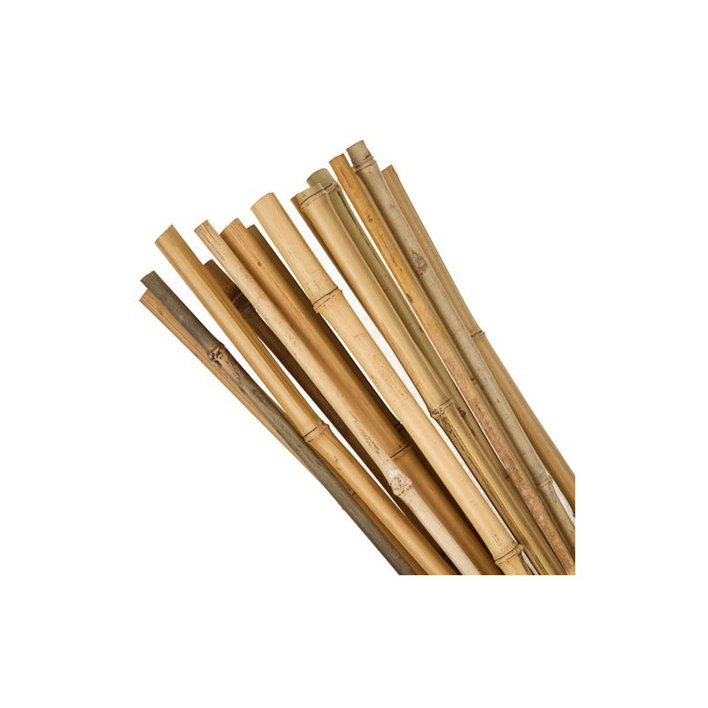 tuteur en bambou toutes dimensions tuteur en bambou toutes dimensions